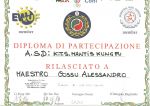 diploma_28-02-2010.jpg