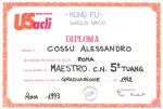 Maestro5d_1993.jpg